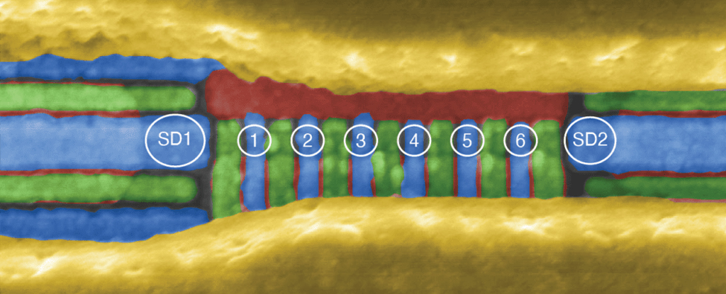 There's a new quantum computing record: control of a 6-qubit processor in silicon