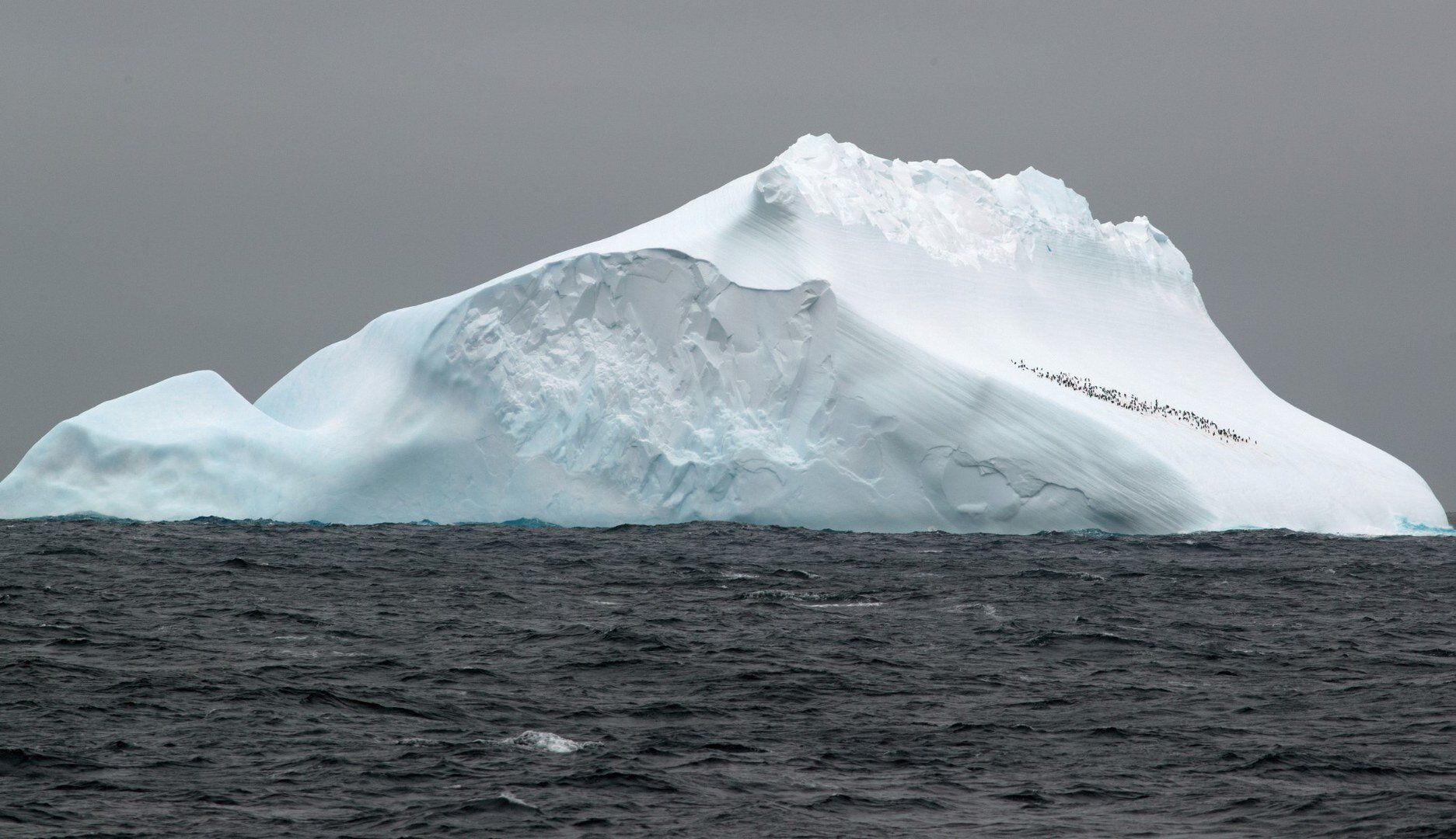 Researchers find 1 million-year-old marine DNA in Antarctic sediments