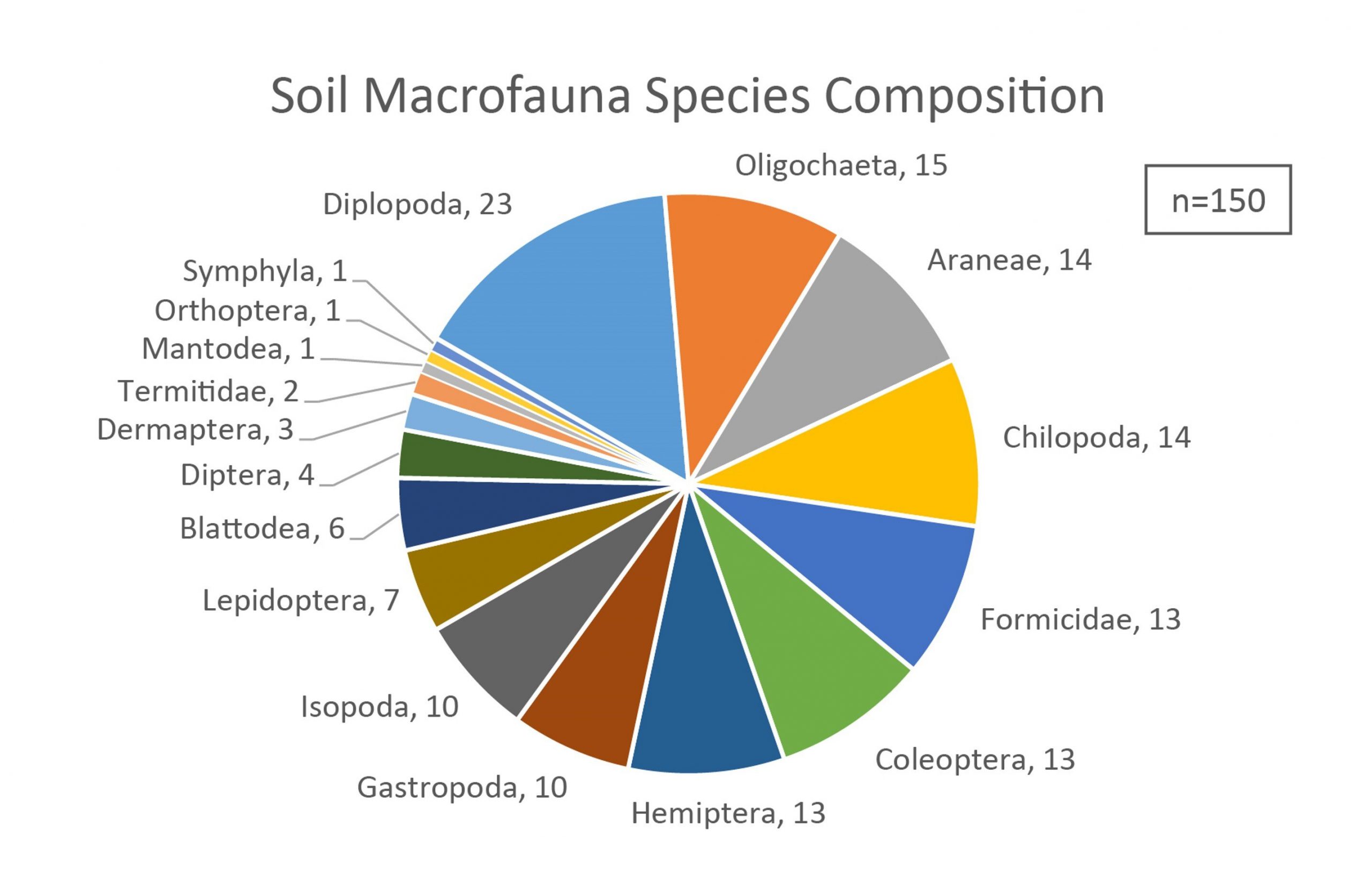 High schoolers join scholars to uncover soil biodiversity in Hong Kong