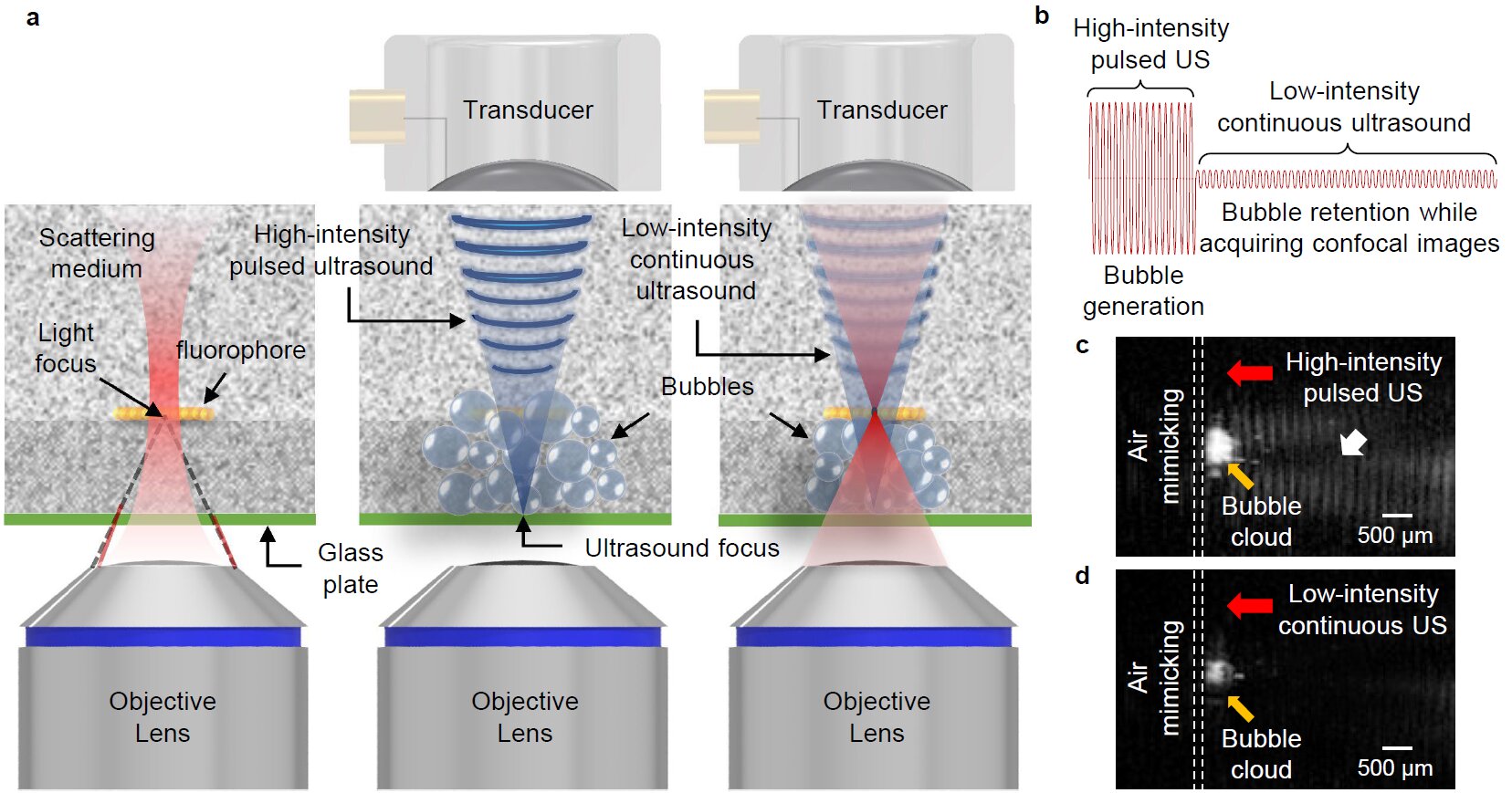 Medical optical imaging with the world's first "ultrasound-induced tissue transparency" technology