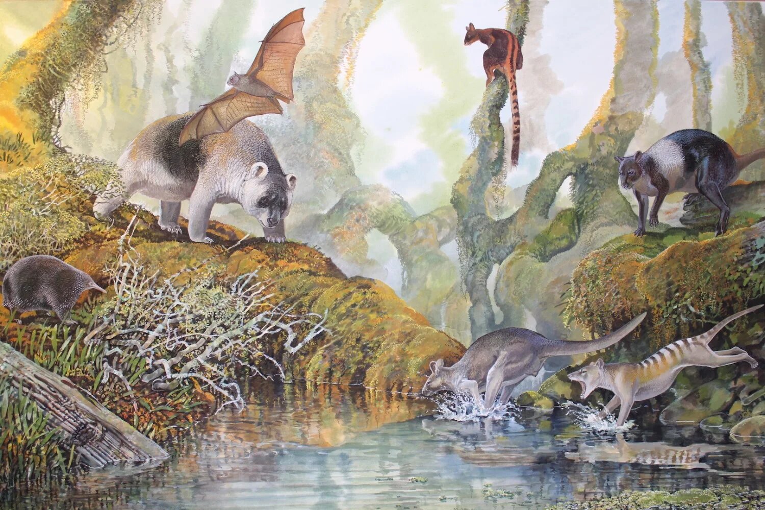 The dominance of Papua New Guinea's megafauna lasted long after the arrival of humans