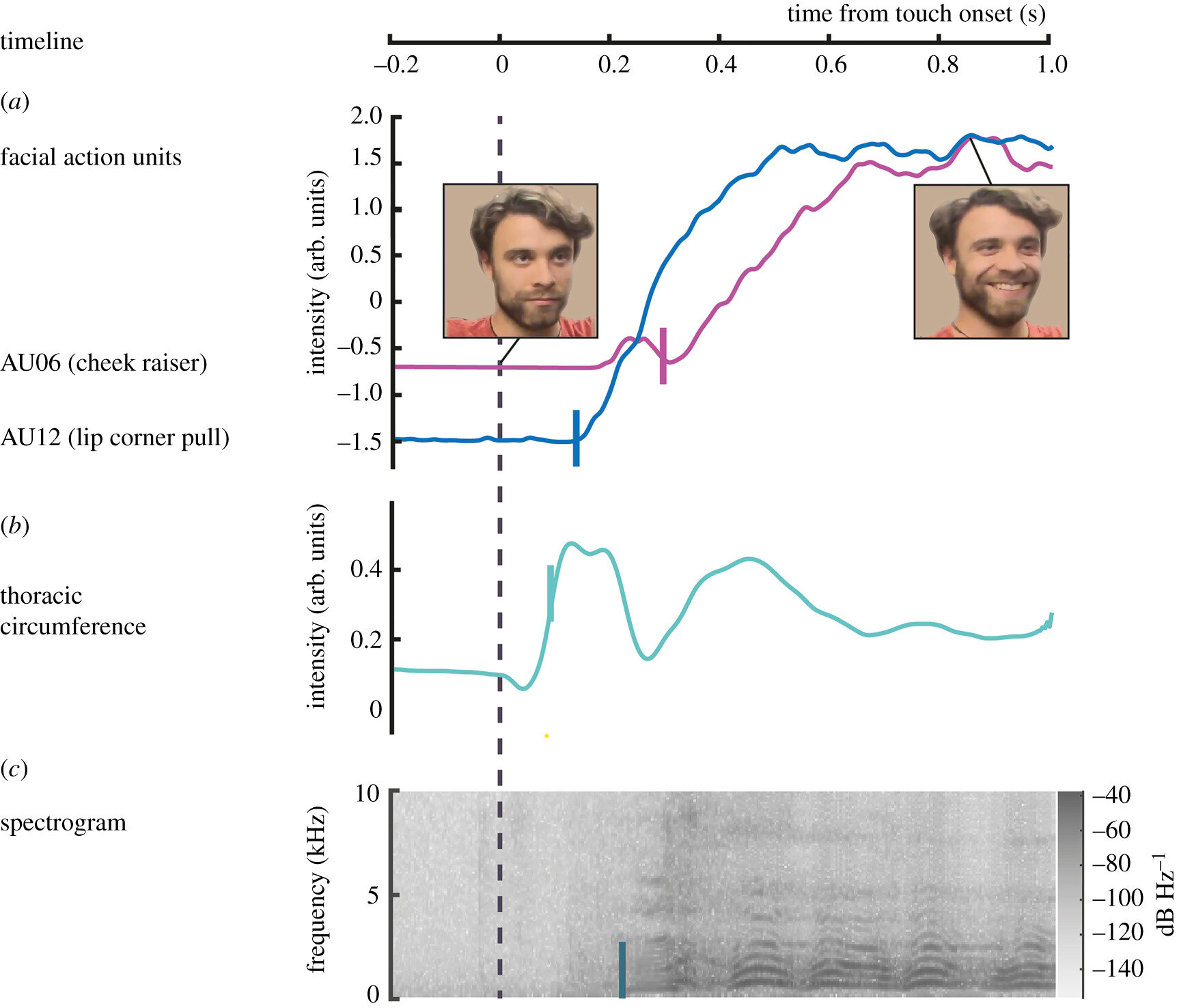 Researchers measure the tickle response in humans and offer a theory as to why humans cannot tickle themselves