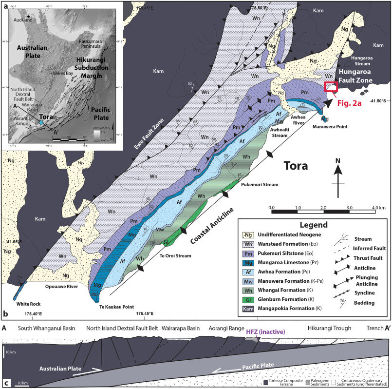 Long-dead marine organisms could influence the next big earthquake