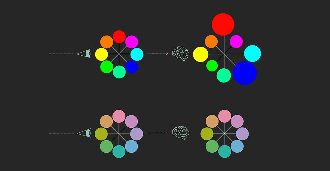 Human Color Perception