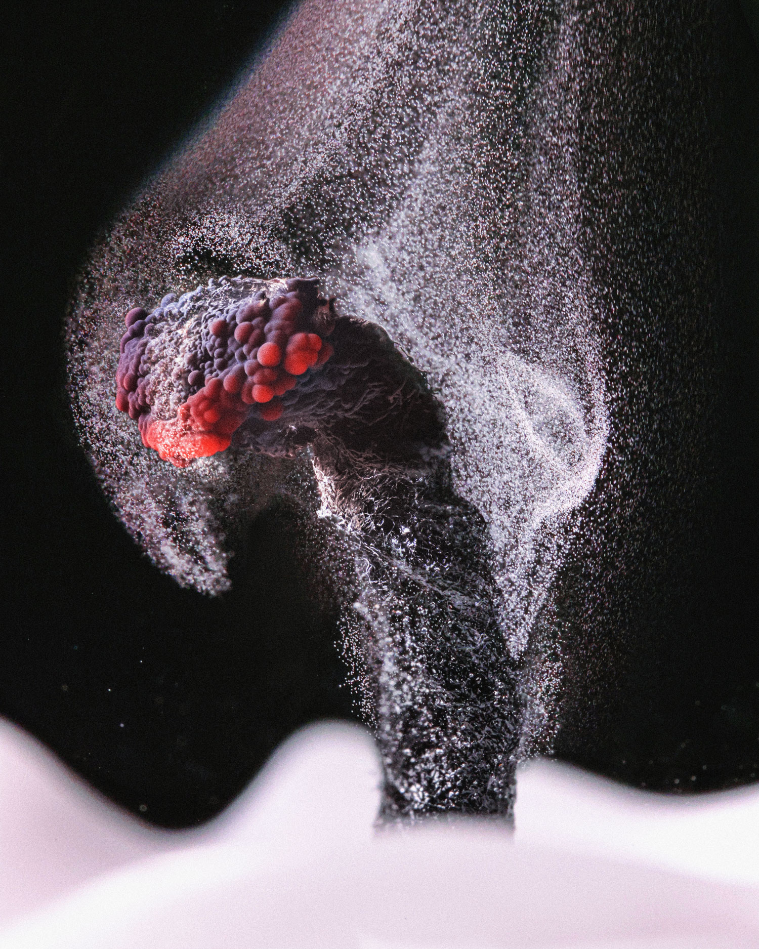 Magnified 2.5x, the photograph shows the faint flow of unburned carbon flakes from an extinguished candle.