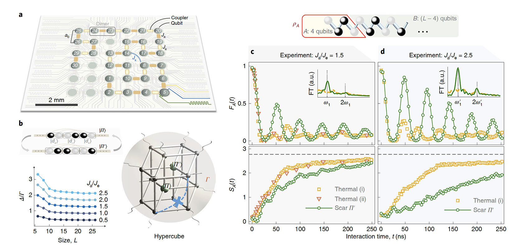 Physicists make qubit computing breakthrough