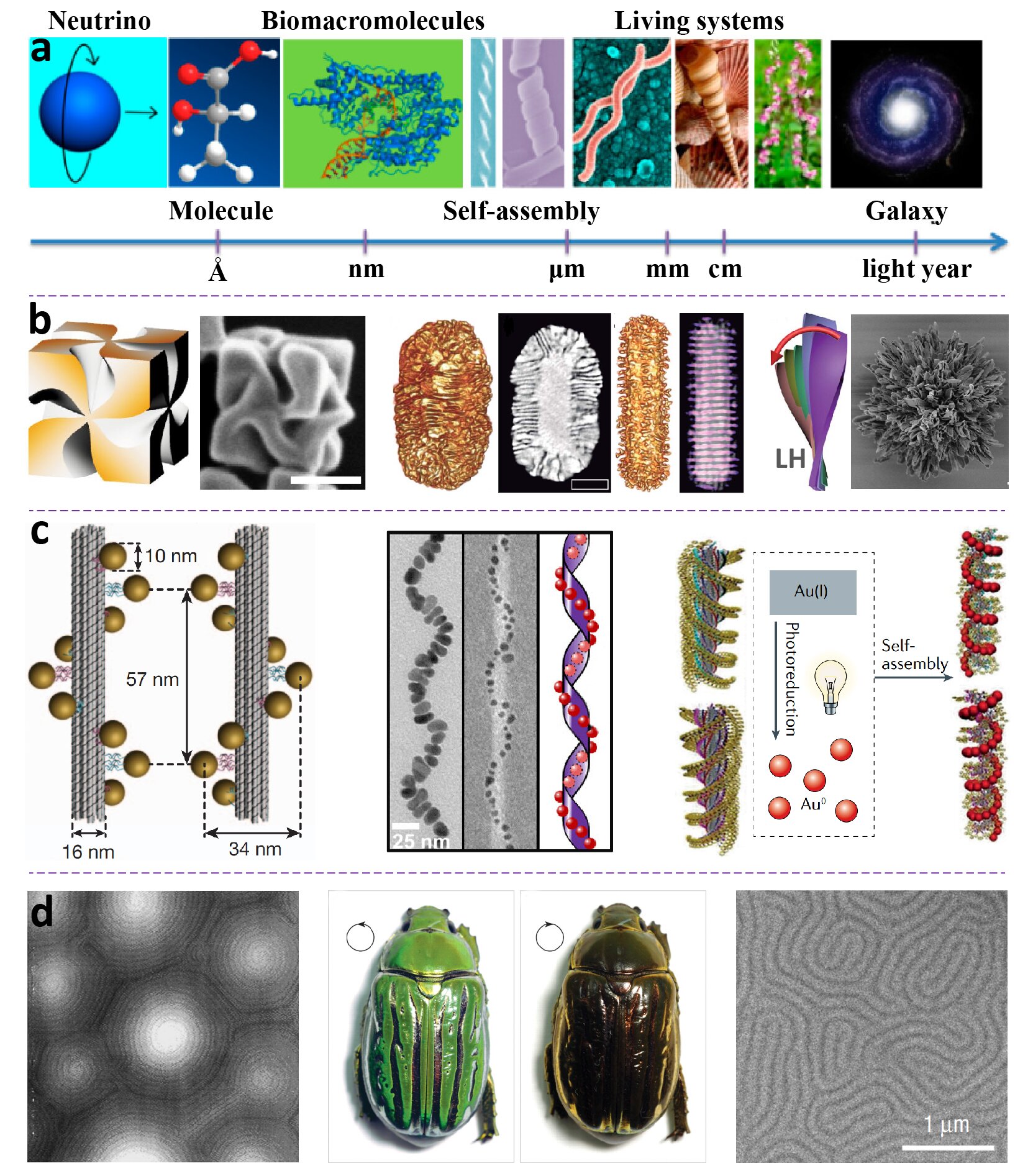 Liquid crystal-based chiral nanomaterials, a comprehensive review