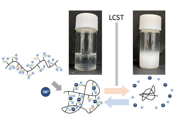 Smart materials: Metal cations regulate thermoresponsive polymers