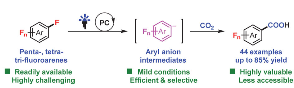 Light-driven process for the synthesis of important polyfluoroarylcarboxylic acids using carbon dioxide