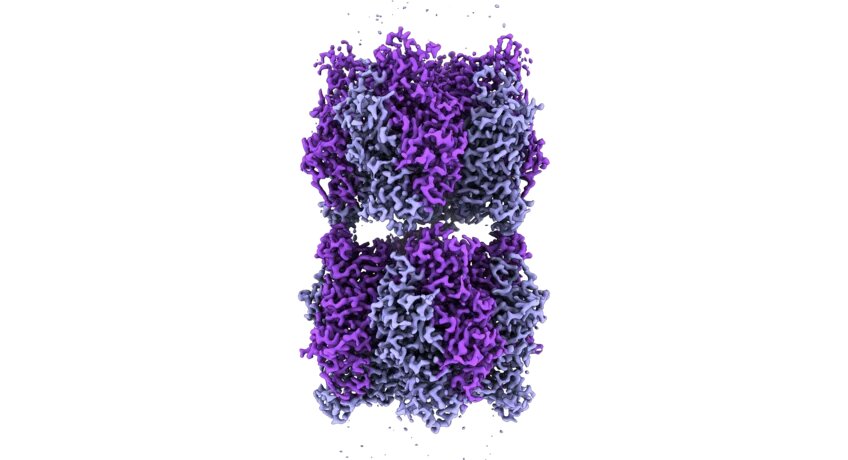 The revival of billions-year-old enzymes shows how photosynthesis has adapted to the rise in oxygen