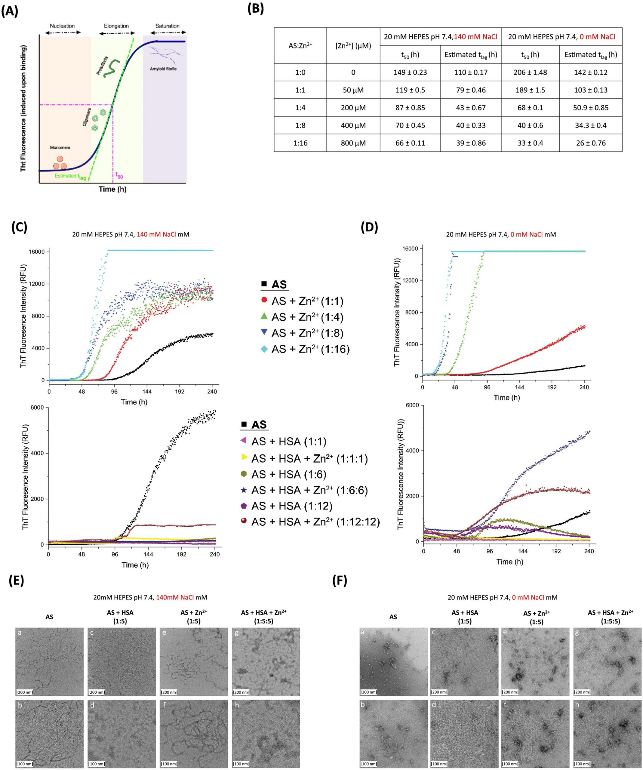 Zinc increases the protective function of albumin against Parkinson's disease