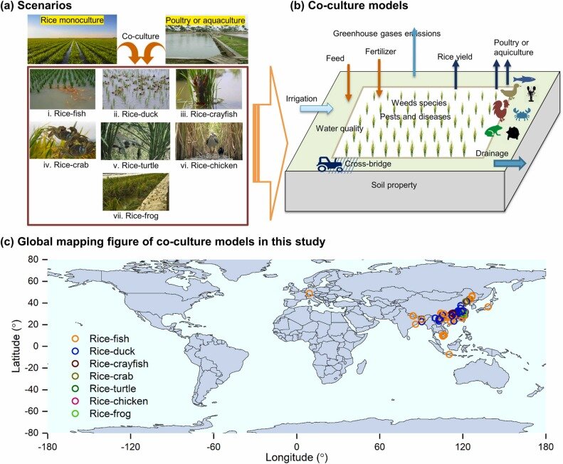 Exposure to quaternary ammonium disinfectant promotes bacterial antibiotic resistance in soil