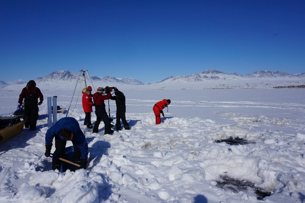 Climate change may increase the risk of "virus spillover" in the Arctic