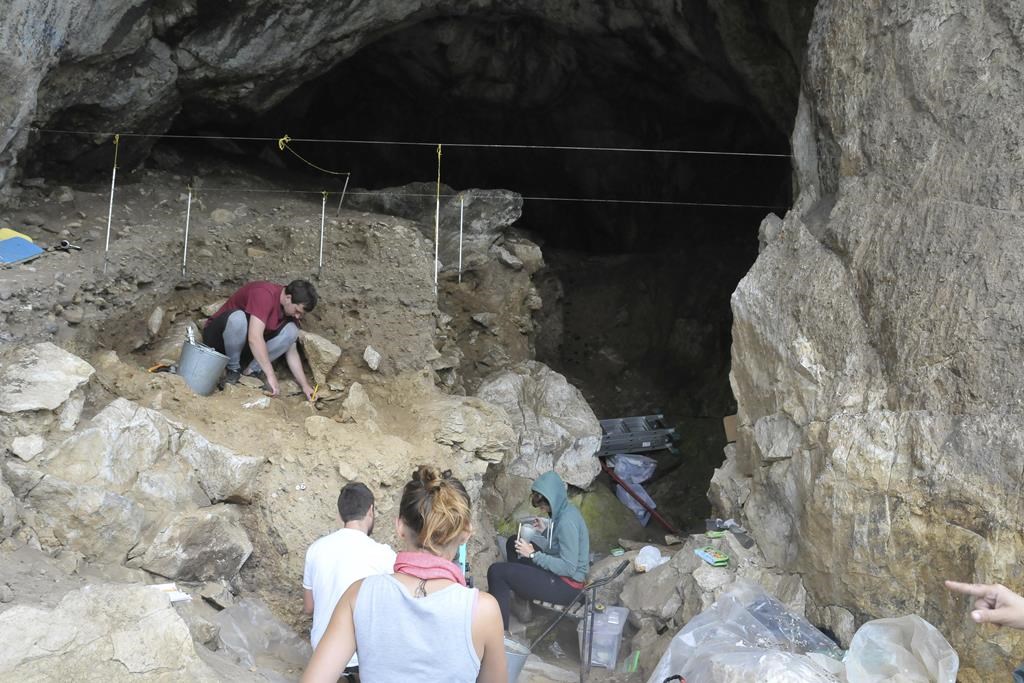 Ancient DNA provides rare snapshot of Neanderthal family ties