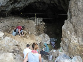 The excavation site.