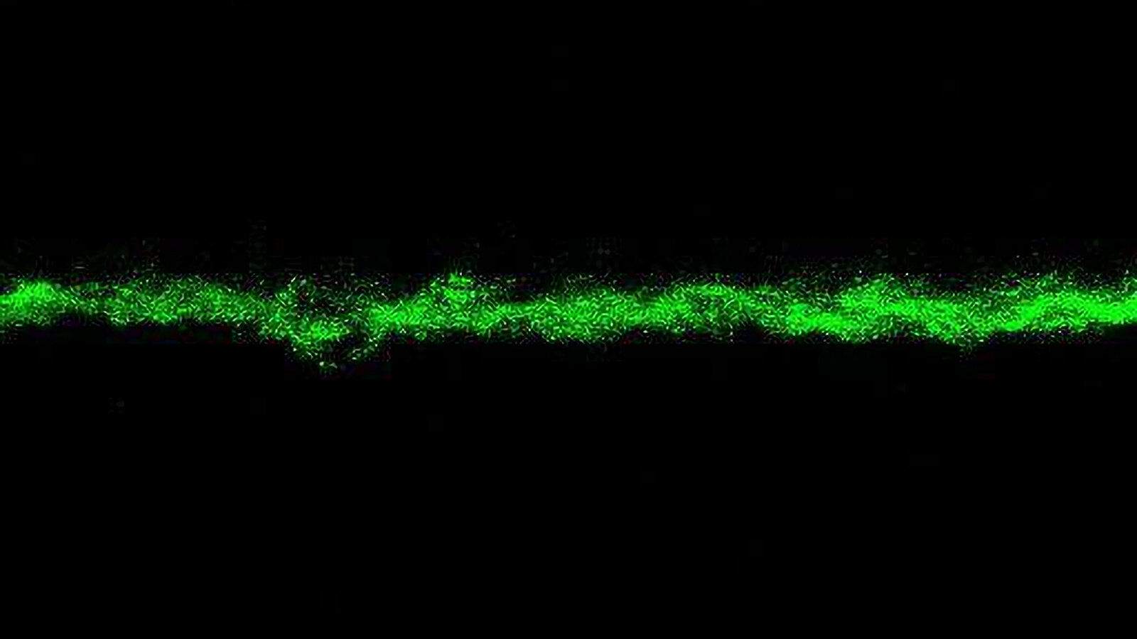 Building on more than 300 years of research, researchers are developing a new way to understand bacterial growth