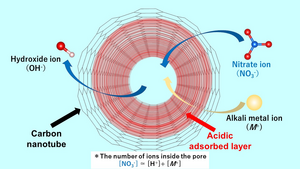 The acidic layer in single-walled carbon nanotubes facilitates the entrapment of anion impurities