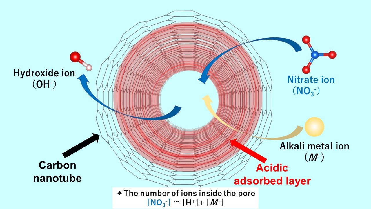 The acidic layer in single-walled carbon nanotubes facilitates the entrapment of anion impurities