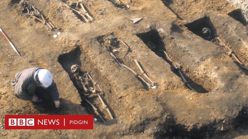 The Black Death 700 years ago is now affecting your health - BBC News Pidgin