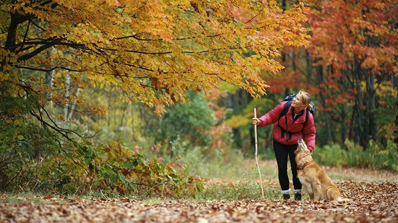 Go outside - it's good for your brain