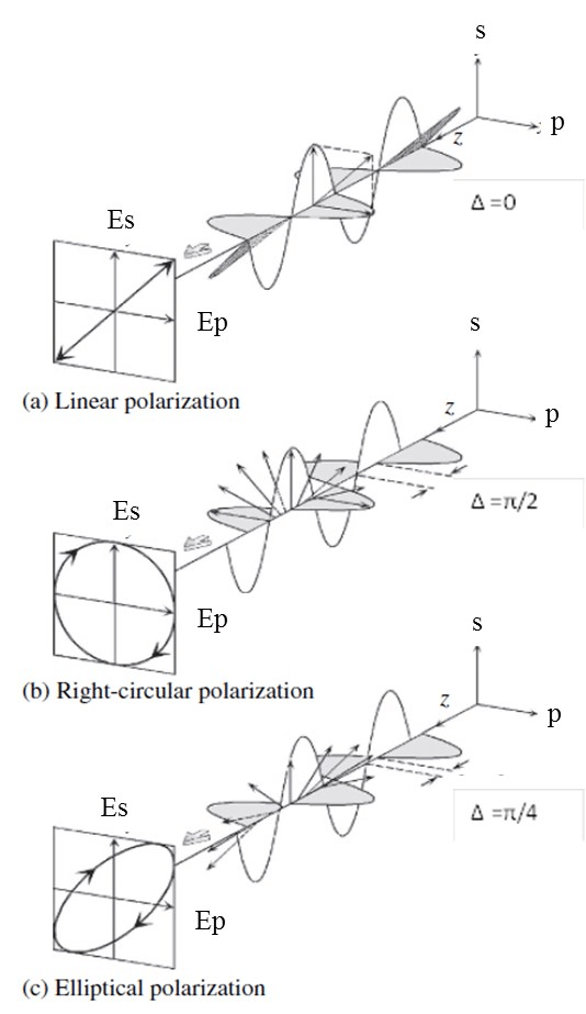 Image with three types of polarization: linear, right-hand circular and elliptical