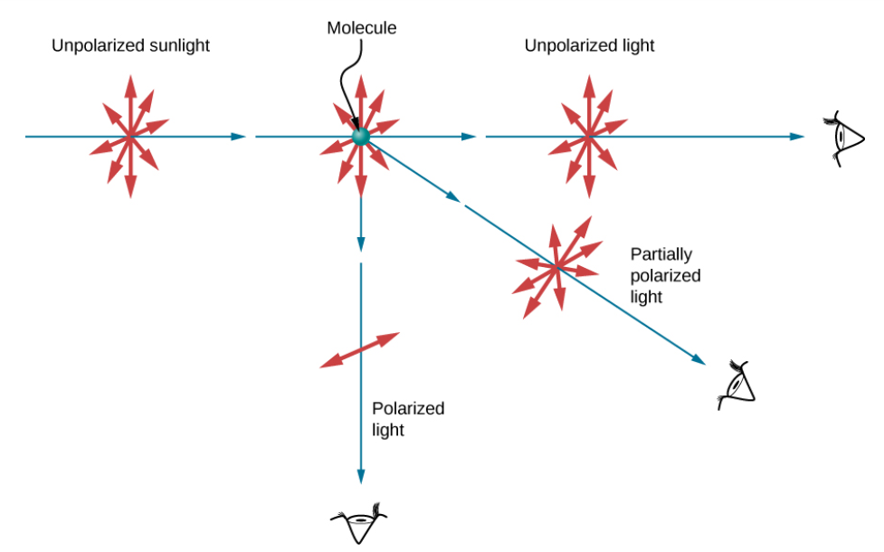 A diagram showing how light is polarized by scattering at different angles