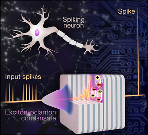 An artificial polariton neuron as a step towards a photonic system that mimics how the human brain works