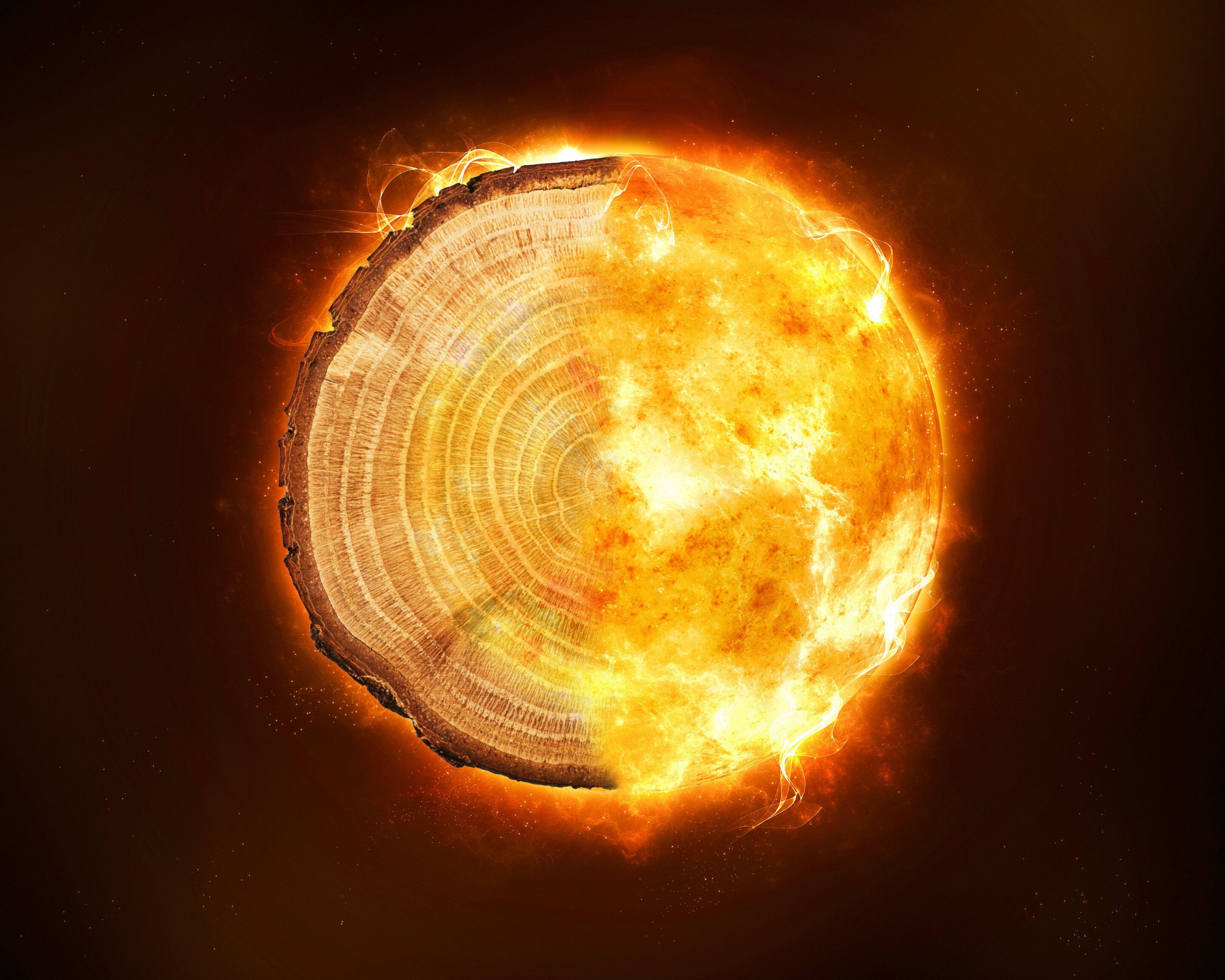 Tree rings provide insight into devastating radiation storms