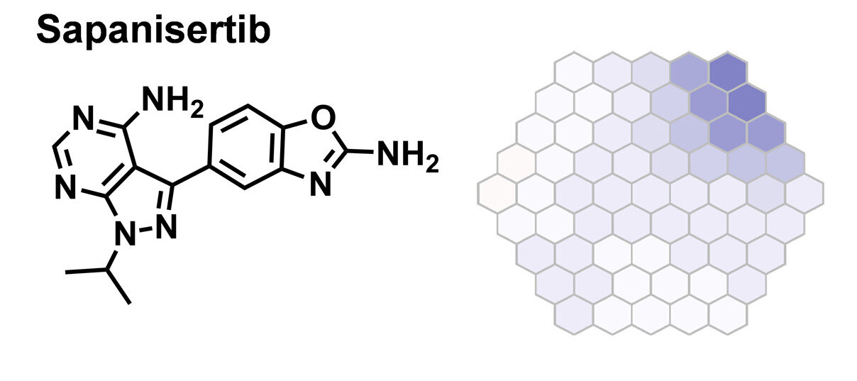 Cancer drug could possibly be used against malaria