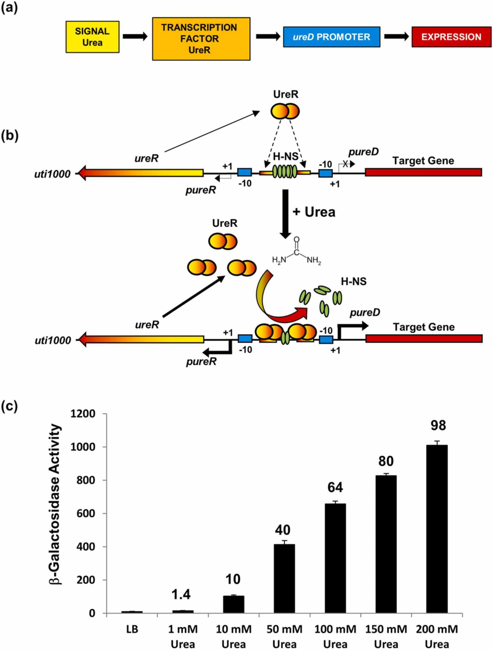 Urine could play a key role in future biotechnological systems