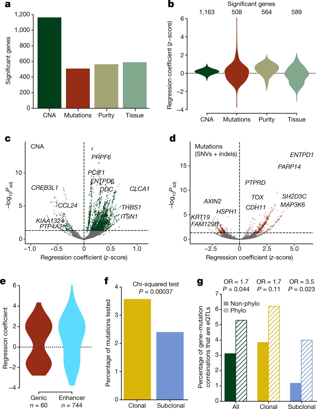 Let's consider the role that epigenetics plays in cancer behavior