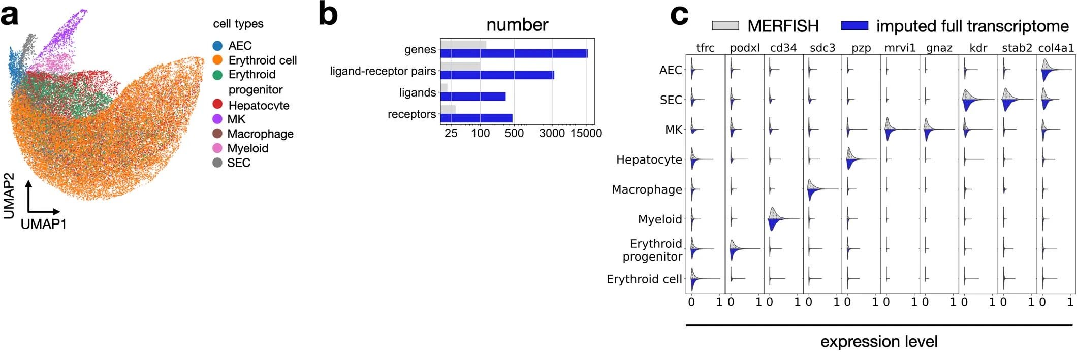 Node-centric expression models (NCEMs): Graph neural networks reveal communication between cells