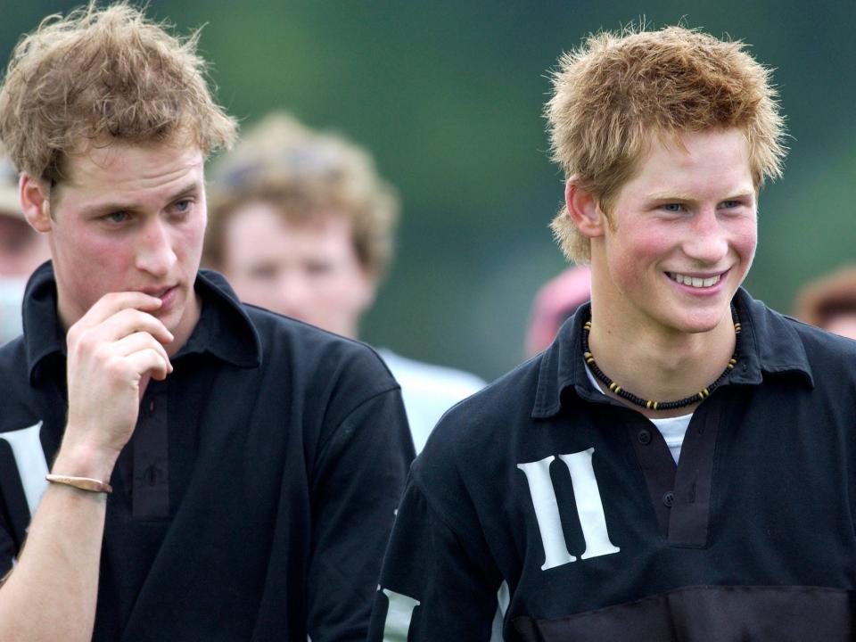 Prince William and Prince Harry in 2002.