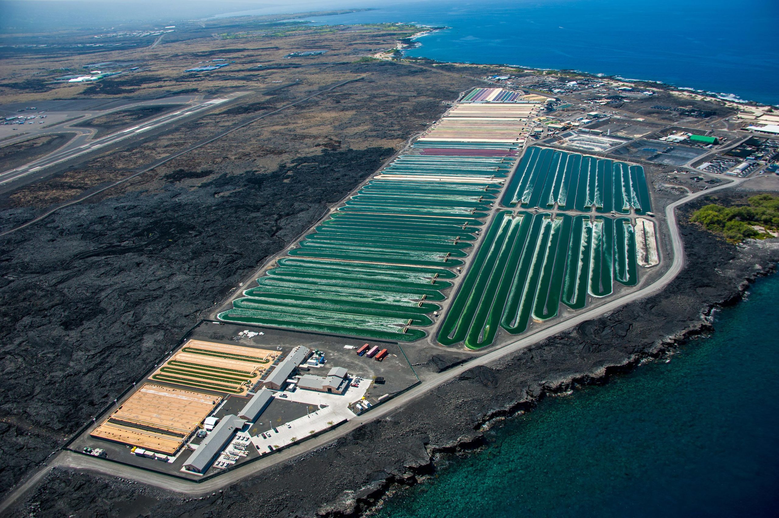 Algae-based food goes global: expansion of marine aquaculture for sustainable production of nutritious food