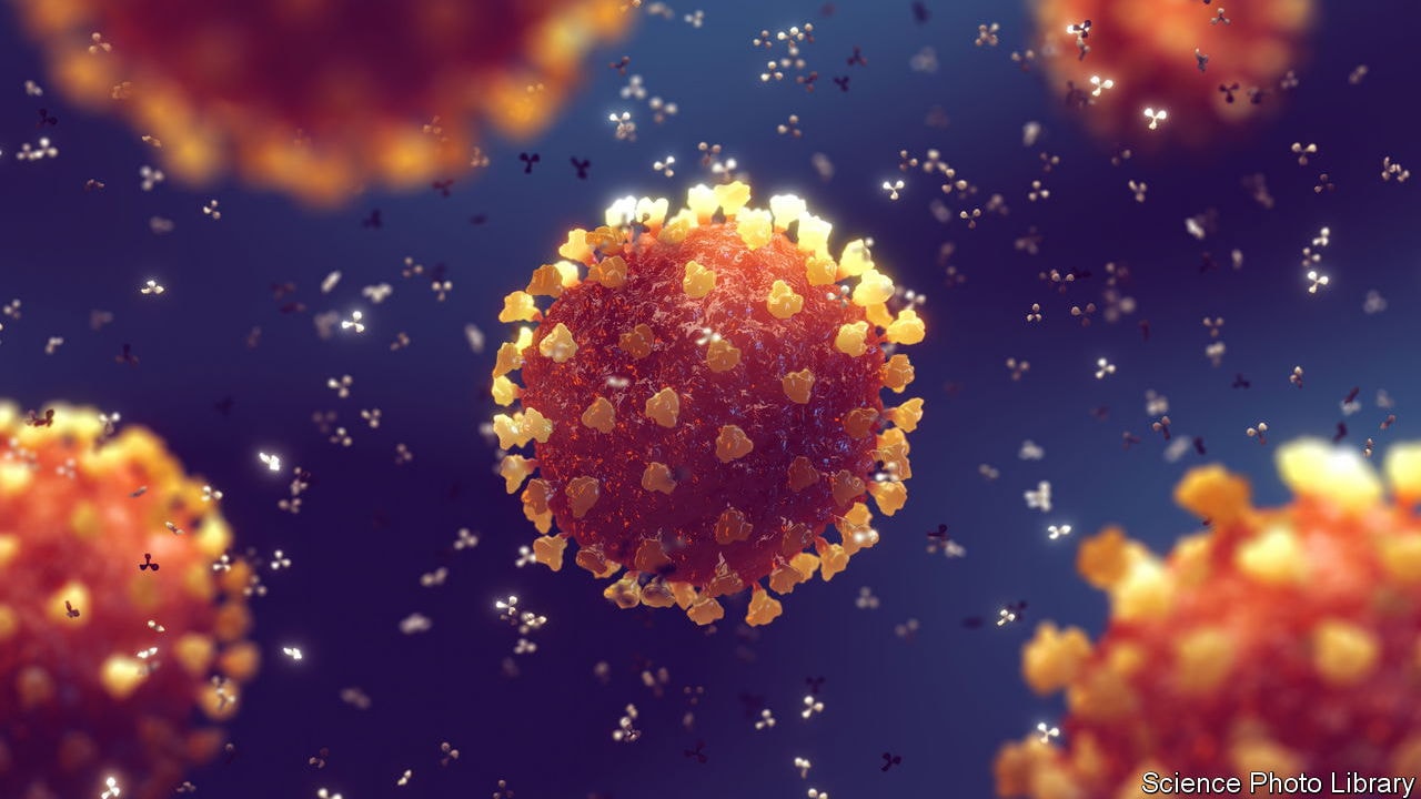 Illustration of a coronavirus particle attacked by antibodies (immunoglobulin). Coronaviruses cause several diseases in humans, including covid-19, SARS and forms of the common cold.