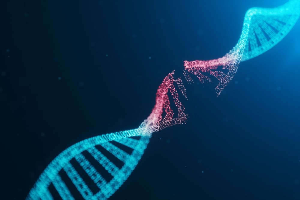 DNA damage in old age increases the expression of ACE2 and the risk of infection of SARS-CoV-2