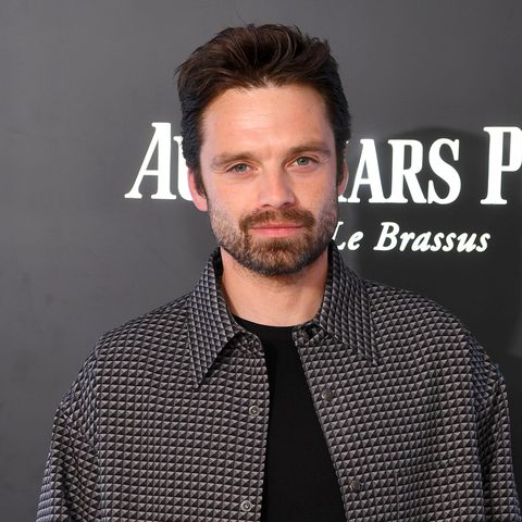 sebastian stan