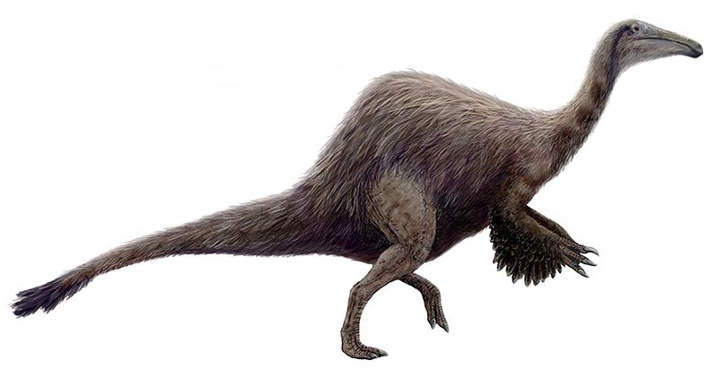 Dinosaur fossil found in Mississippi: looks like an ostrich, tall as a giraffe