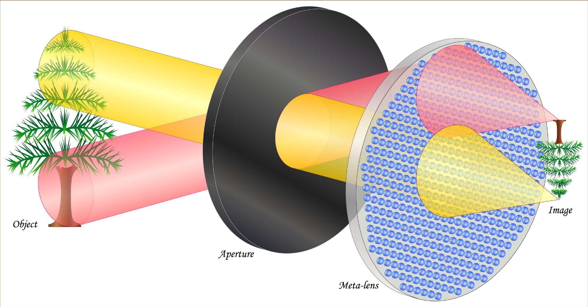 Elliptical nanohole arrays improve the beaming effect of plasmonic metalenses