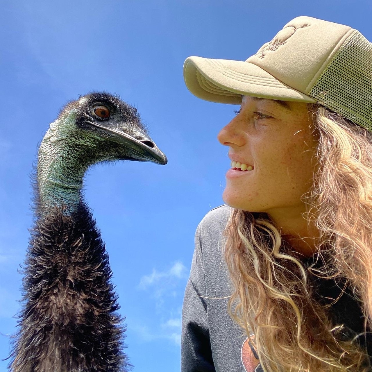 Emmanuel, TikTok-famous emu, is fighting for his life amid a deadly bird flu crisis