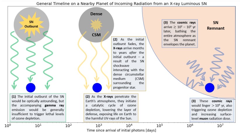 This figure from the study shows a timeline of radiation exposure for a planet near a luminous X-ray supernova.  Photo credit: Brunton et.  until 2022.