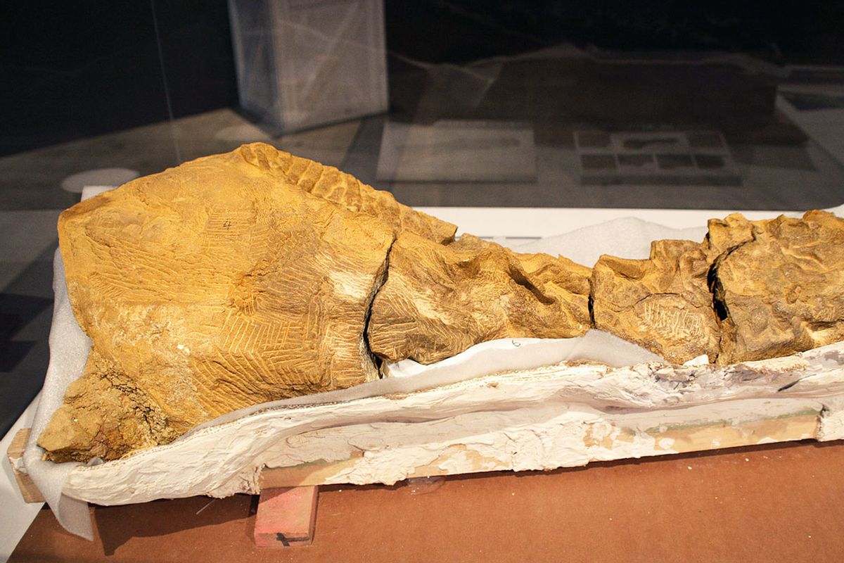 How to mummify a dinosaur: New finds show exceptionally intact dinosaurs