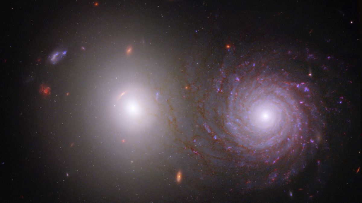 A pair of galaxies in an image combined from observations by the James Webb and Hubble Space Telescopes.