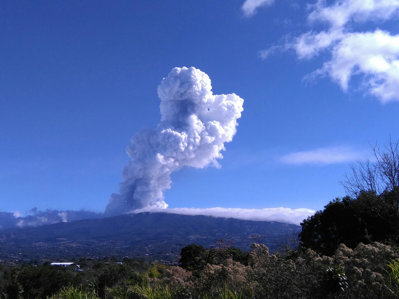 McGill researchers use drones to collect volcanic samples - The McGill Tribune