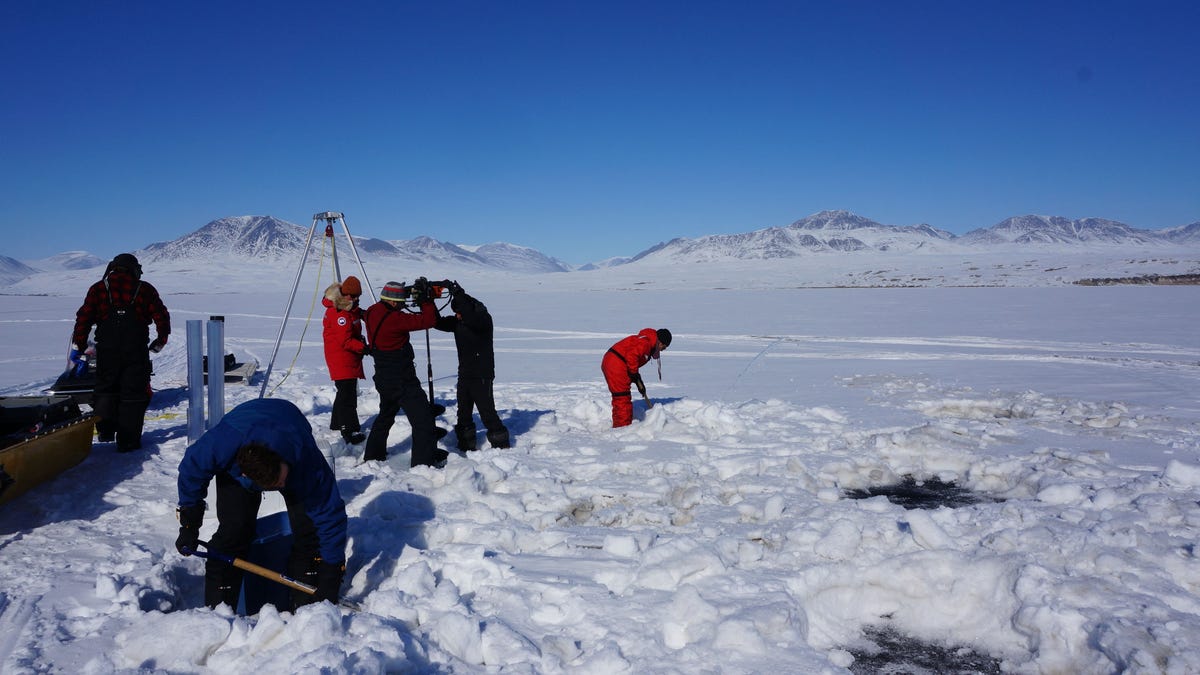 Melting glaciers could release long-frozen viruses to new hosts