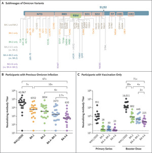 Neutralization escape by SARS-CoV-2 Omicron subvariant BA.4.6 |  NEJM