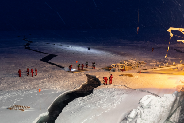 New data set reveals Arctic Ocean's biological 'treasure chest'