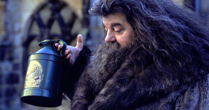 Robbie Coltrane, Hagrid Actor in 'Harry Potter' Films, Dies at 72 - National |  Globalnews.ca