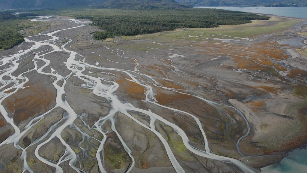 Sediment compaction is critical in projecting coastal resilience