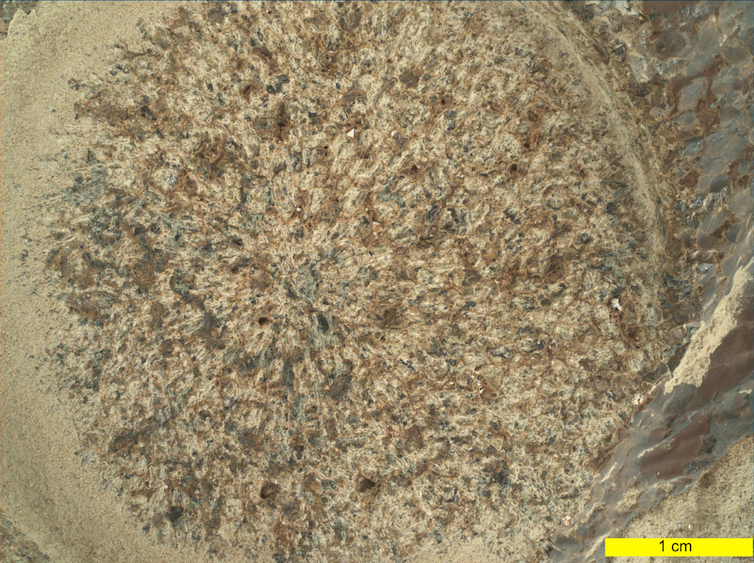 Extreme close up of a rock showing a sandy grainy surface